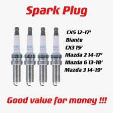Spark Plug